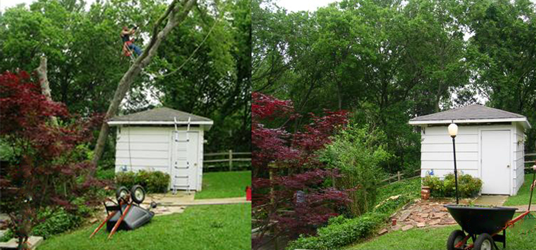 Before & After
