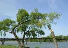 White Rock Lake White Rock Lake