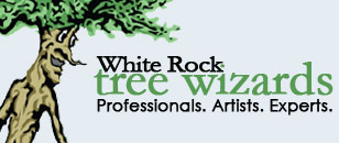 White Rock Tree Wizards